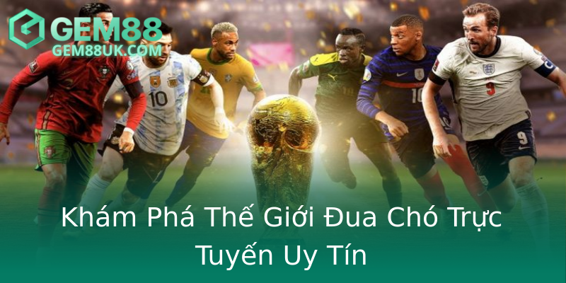 Khám Phá Thế Giới Đua Chó Trực Tuyến Uy Tín