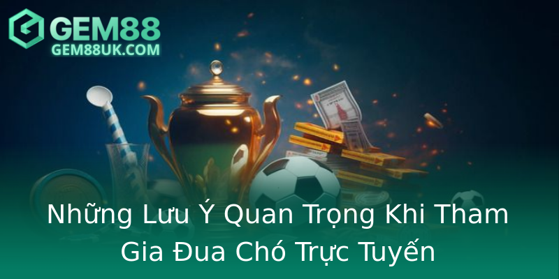Những Lưu Ý Quan Trọng Khi Tham Gia Đua Chó Trực Tuyến